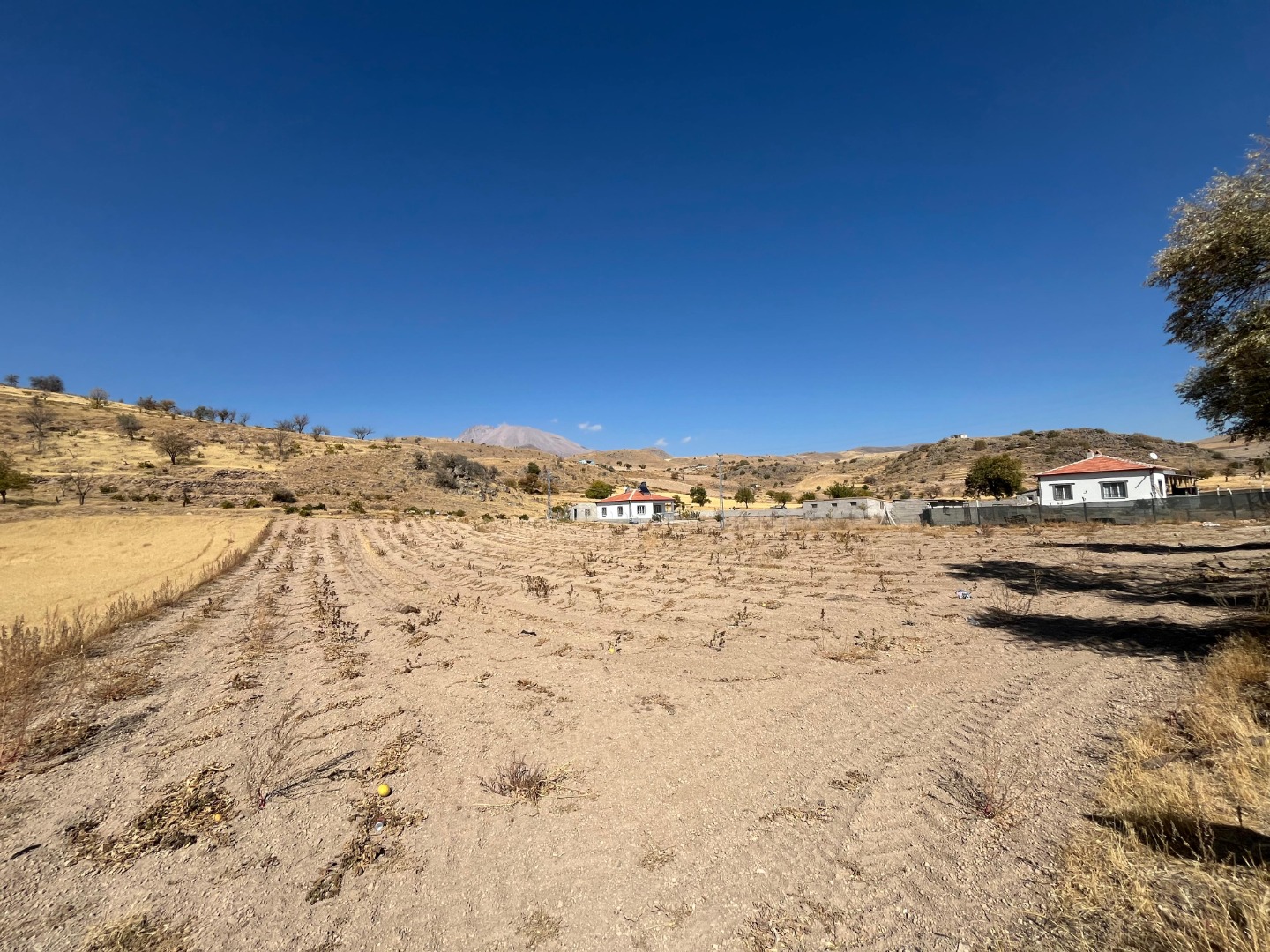 KAYSERİ DEVELİ ÇOMAKLI MAHALLESİ YAPRAKLIBURUN MEVKİİNDE SATILIK BAĞ YERİ